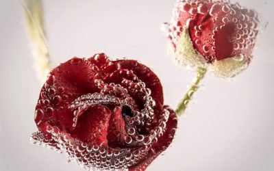 9 Maggio Festa della mamma🥰