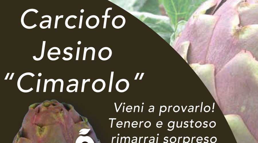 Carciofo jesino “cimarolo”