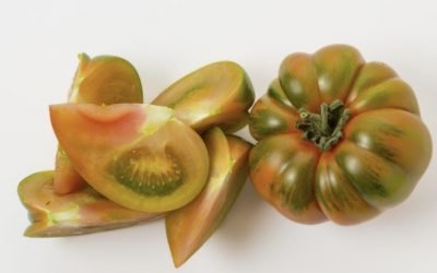 Pomodoro Costoluto a KM0