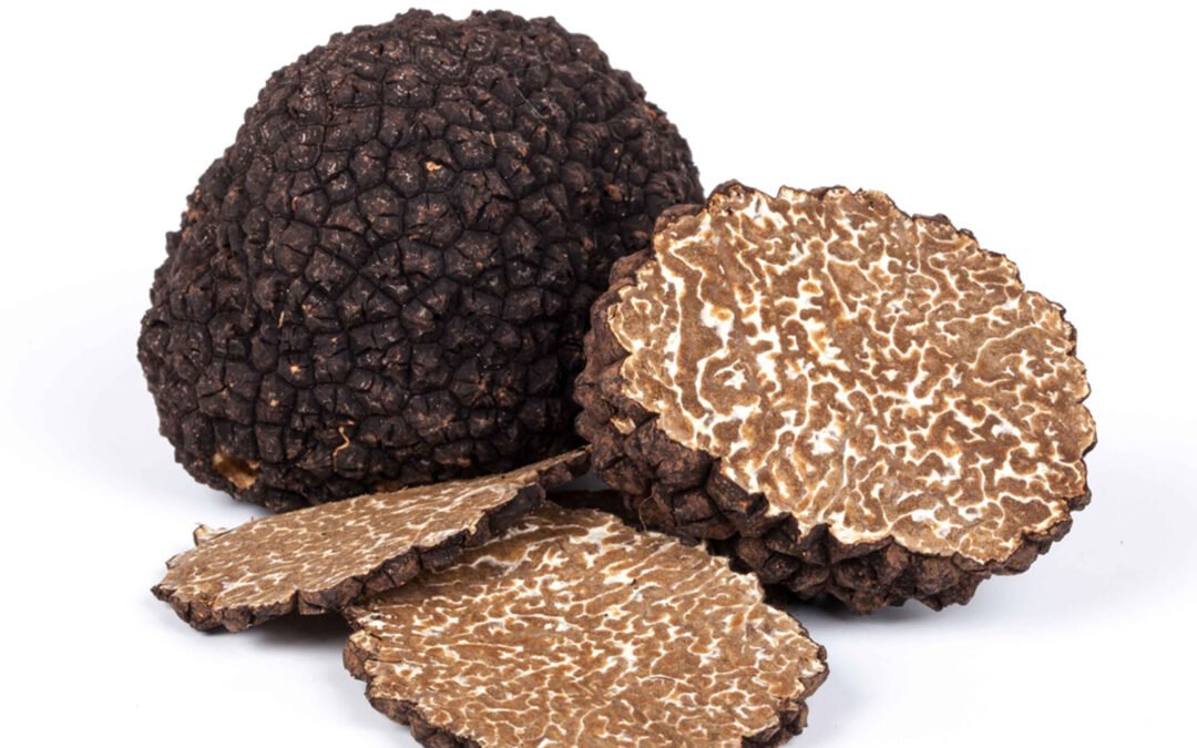 Tartufo nero uncinato  come cucinarlo?